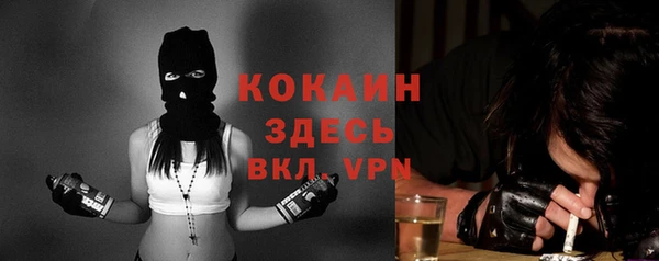 тгк Каменка